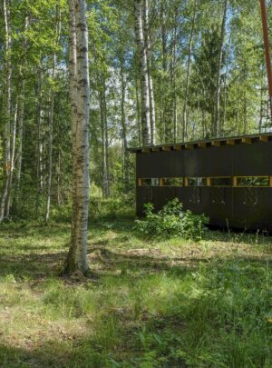 Bärenhütte waldseite