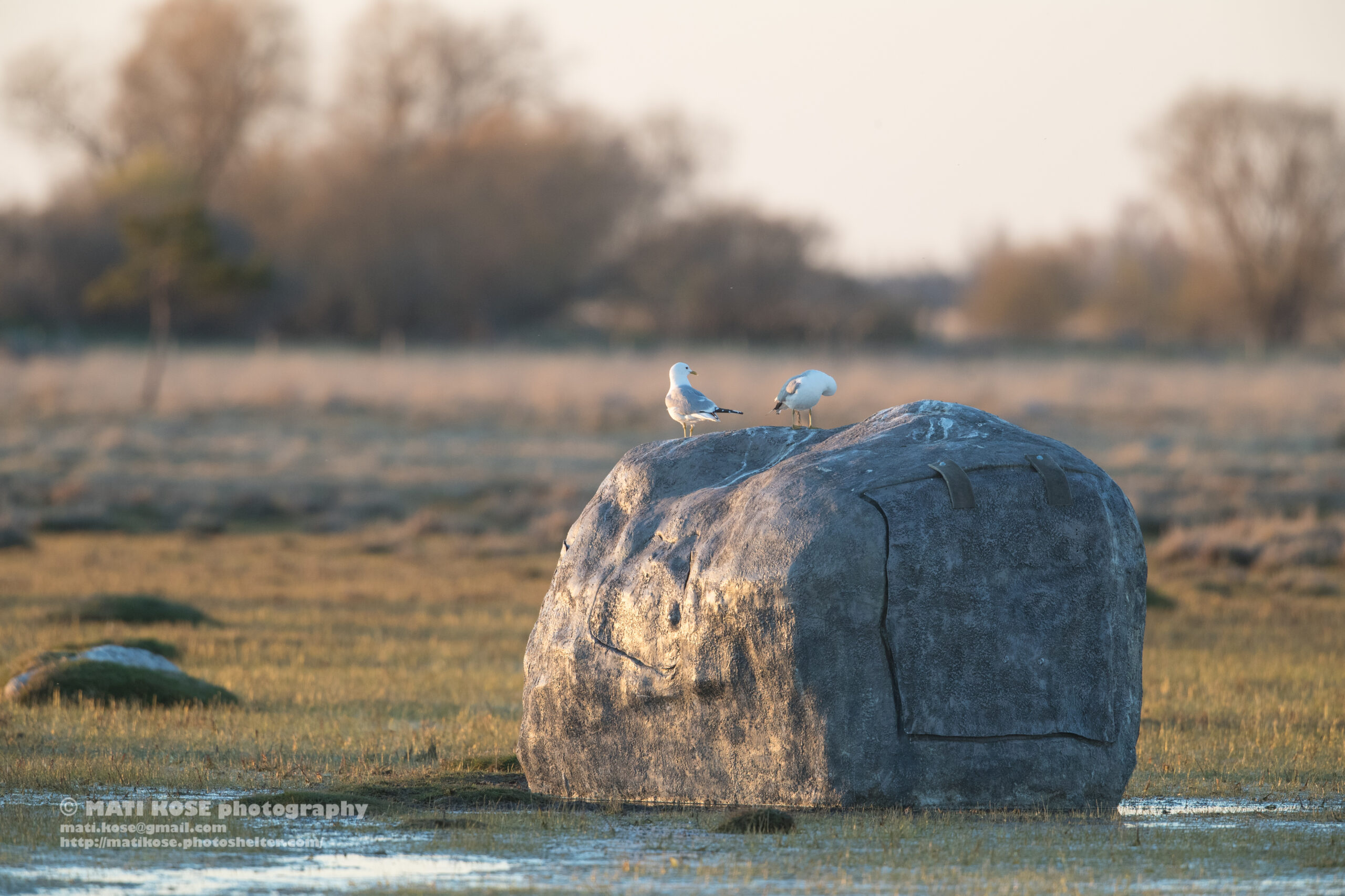 fotohütte by MK_(ruff hide)_13.05.17_0234