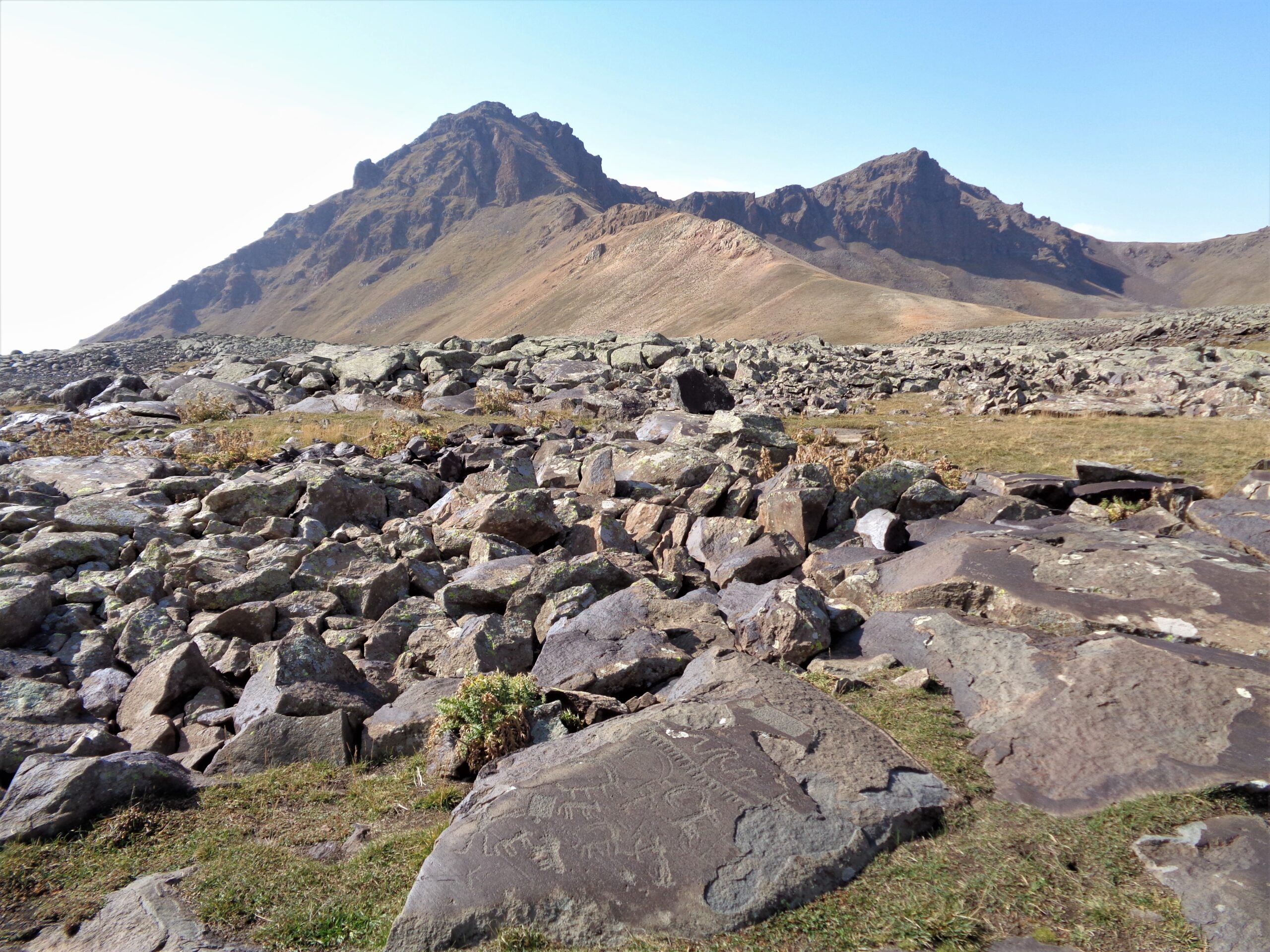 Ancient stone carvings of bezoar goats