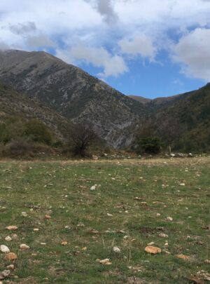 GRI 02 Steinsteppe Andreas Weber