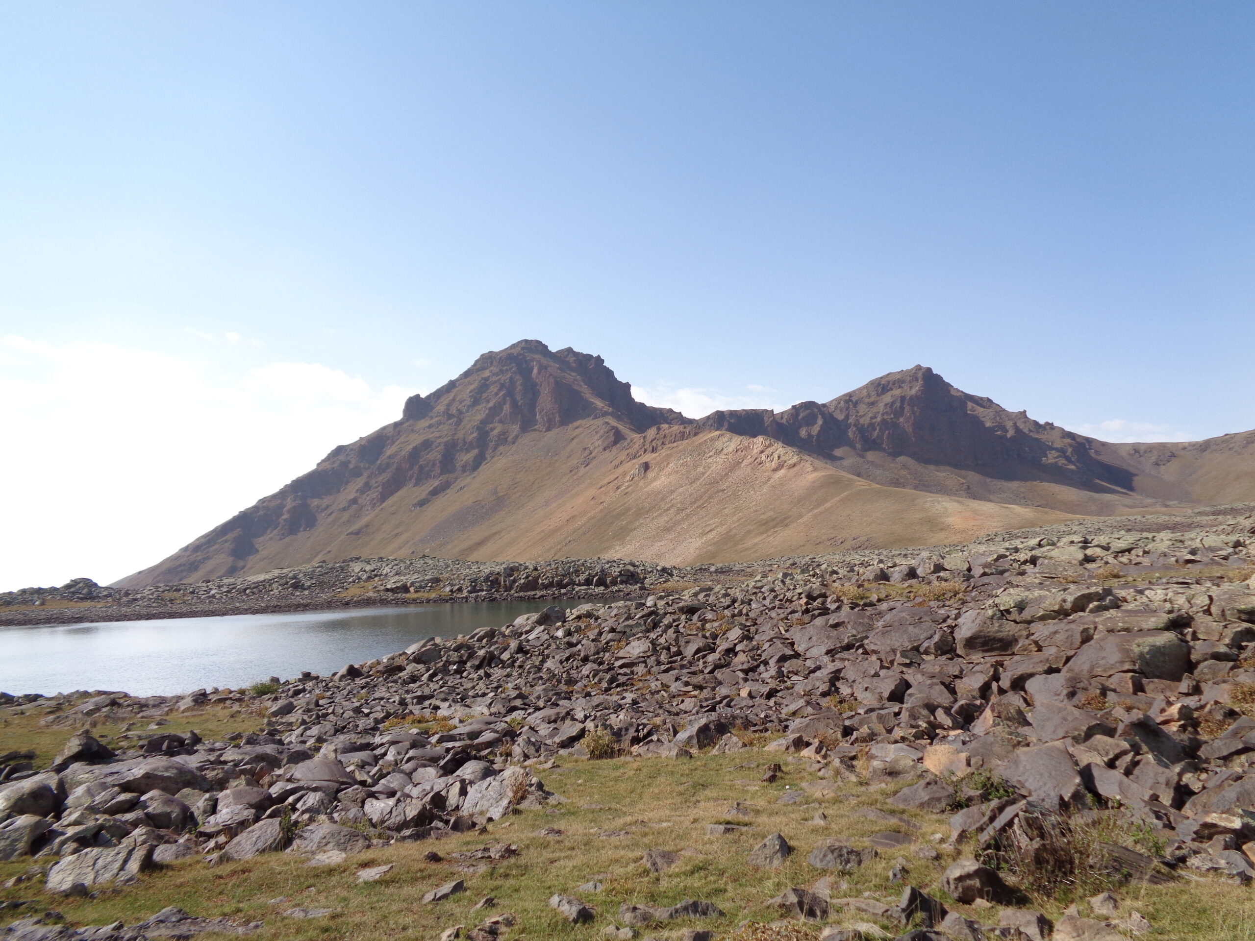 Habitat of Bezoar goats and Mouflon (2)