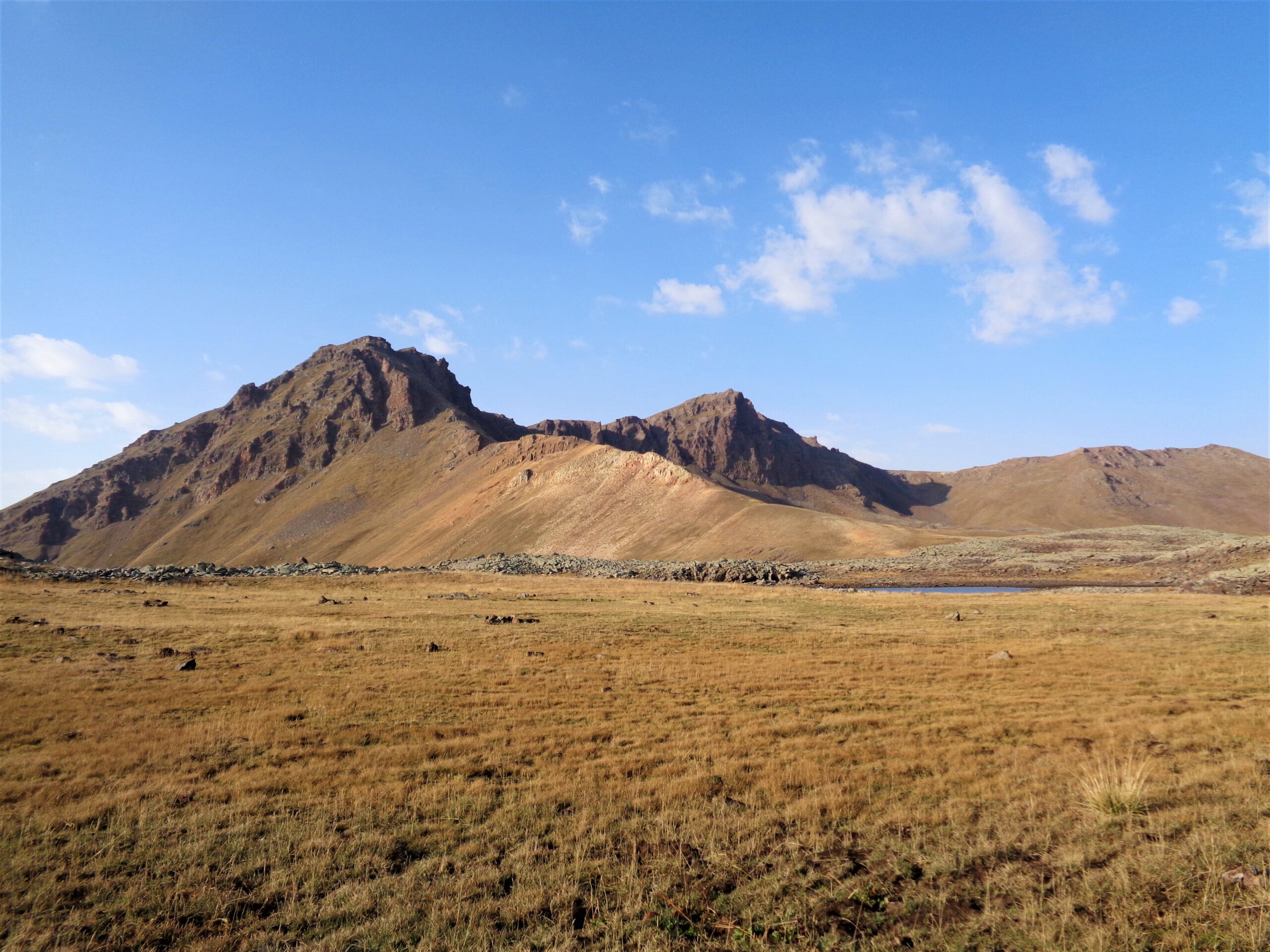 Habitat of Bezoar goats and Mouflon (4)