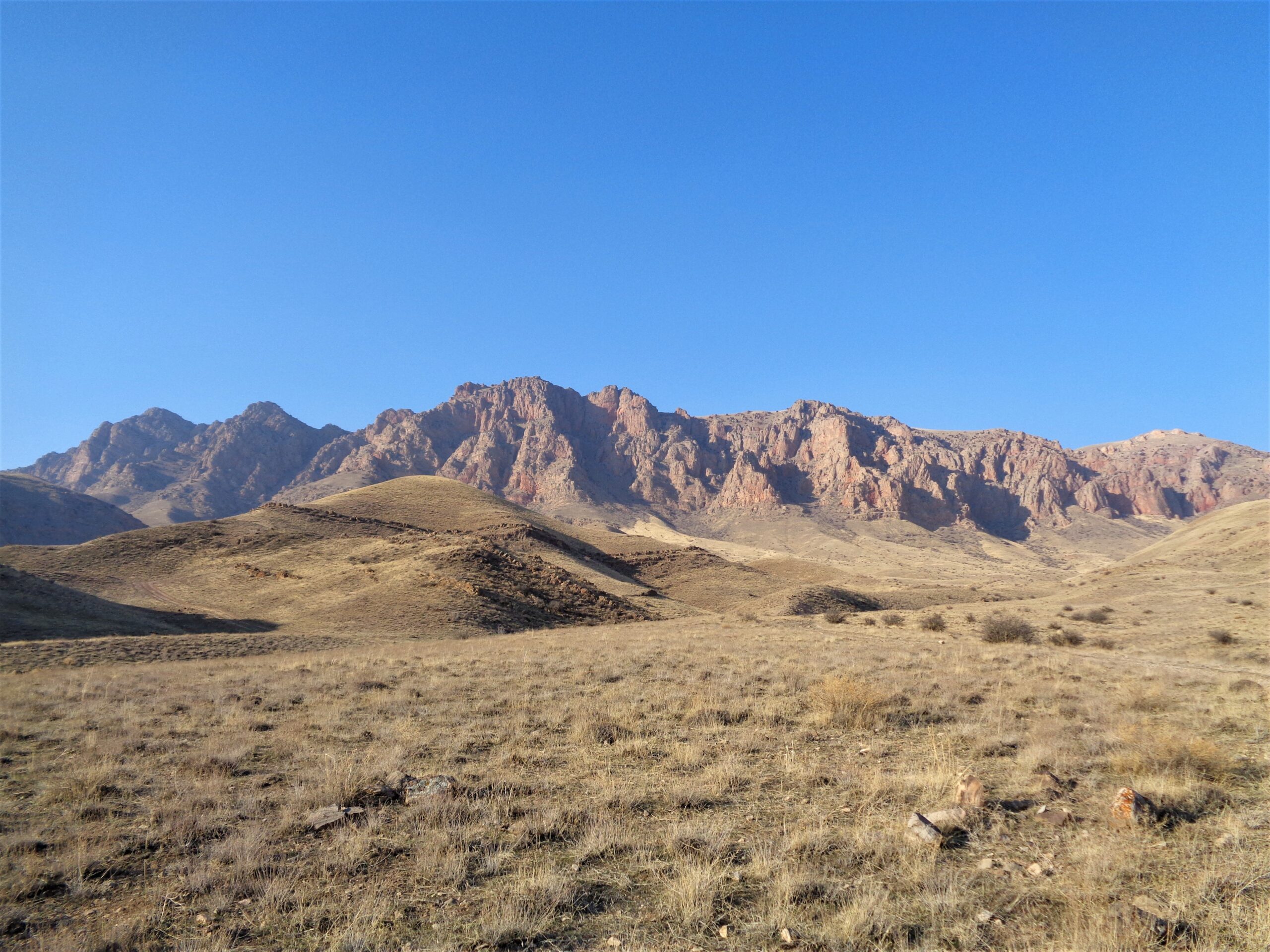 Oorts range